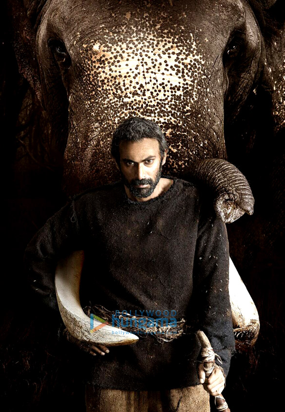 Haathi Mere Saathi Songs, Images, News, Videos & Photos - Bollywood Hungama